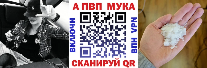 Alpha PVP СК КРИС  OMG ONION  Коряжма 