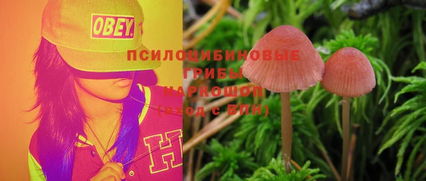 spice Протвино