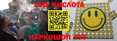 шишки Изобильный