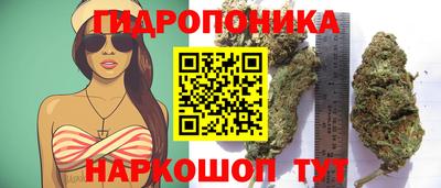 бошки Кандалакша