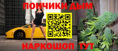 шишки Изобильный