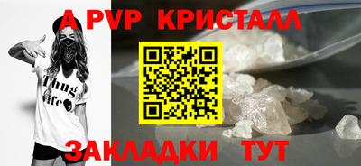 шишки Изобильный