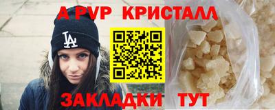 шишки Изобильный