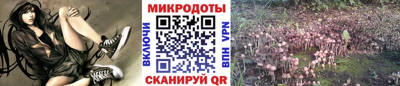 закладка  нарко площадка формула  Галлюциногенные грибы Psilocybe  Коряжма 